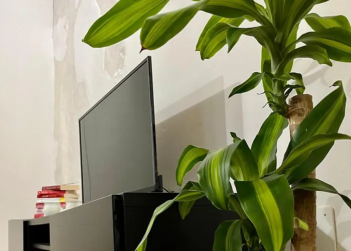 公寓 Magnolia - Piazza Delle Erbe *